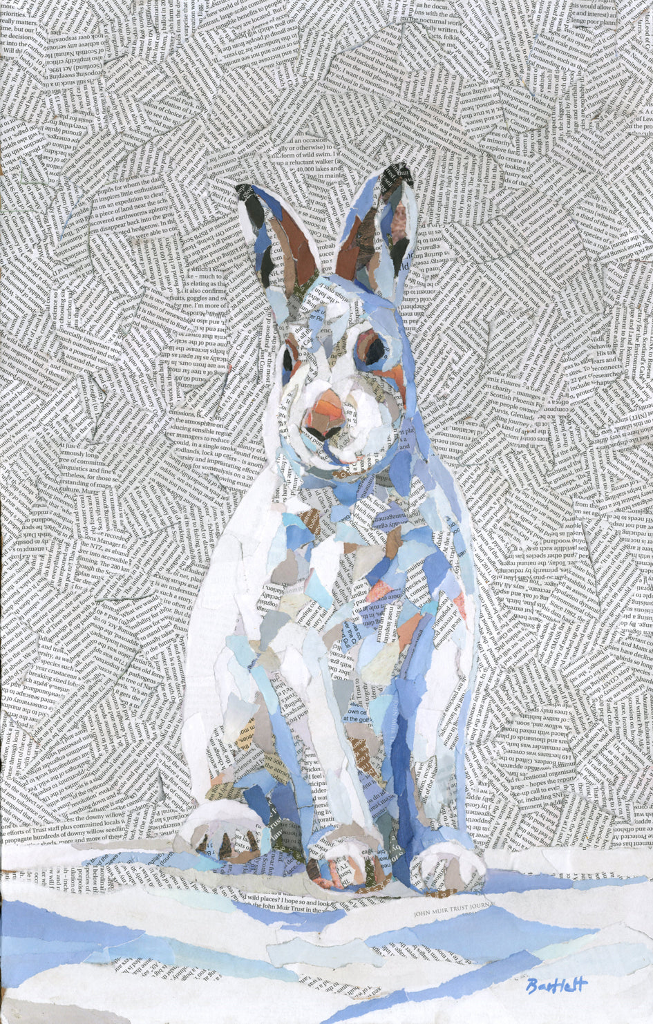 Limited edition Hare print by Paul Bartlett