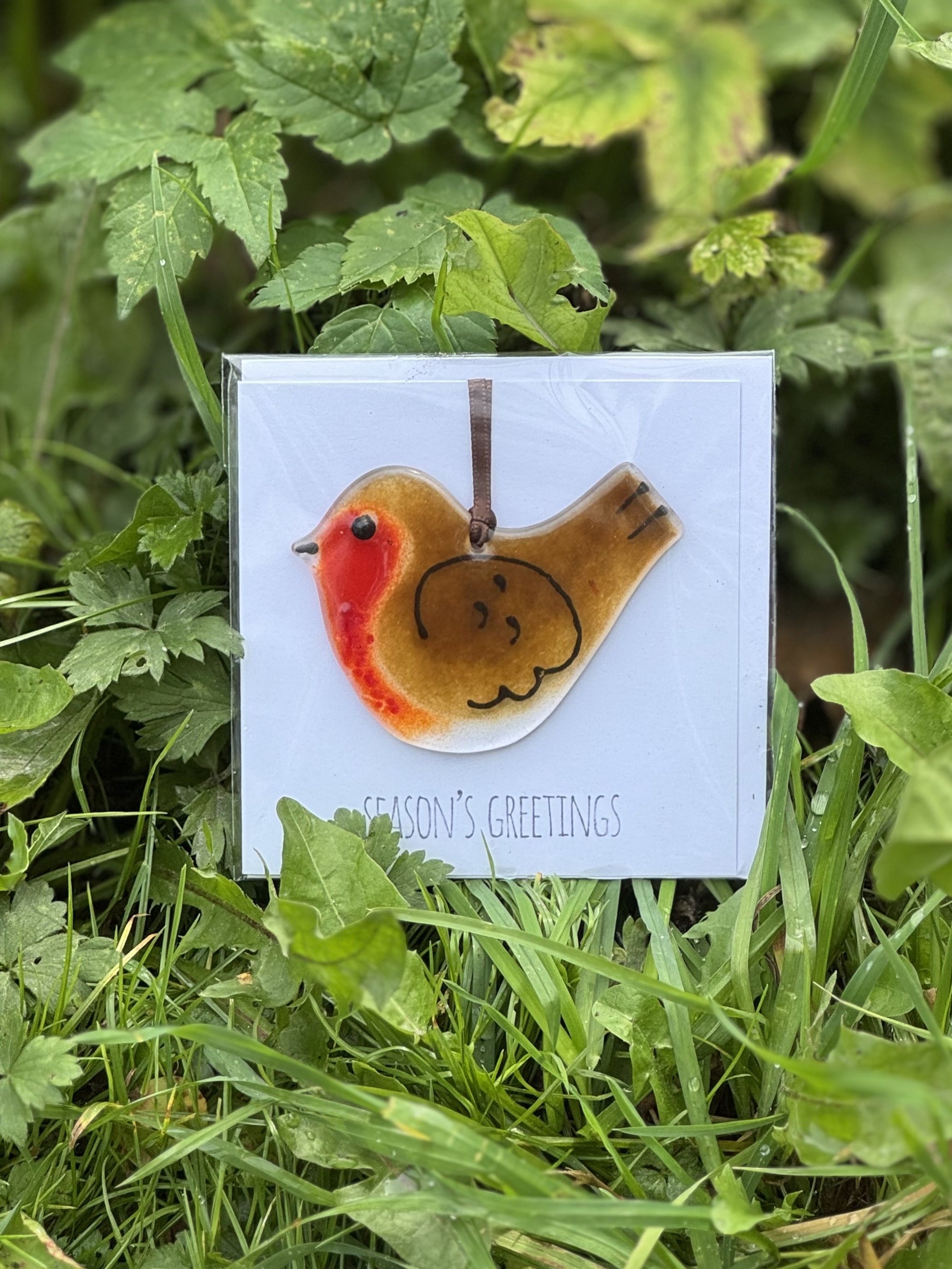 Glass Robin