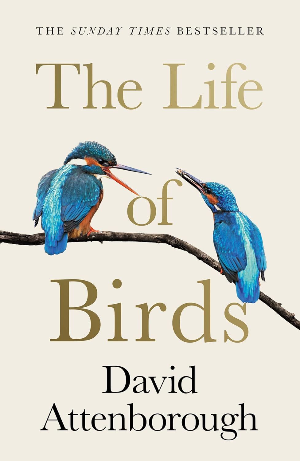 The life of birds