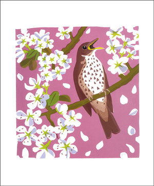 Art Angels Greeting cards
