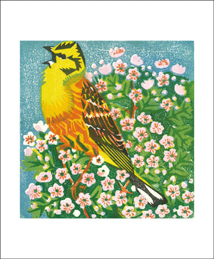 Art Angels Greeting cards