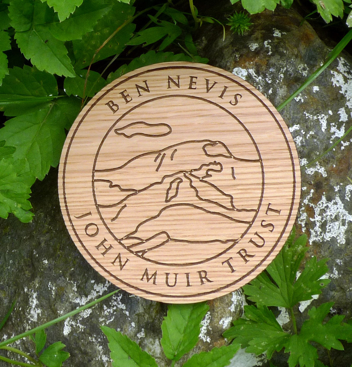 Engraved wooden coasters