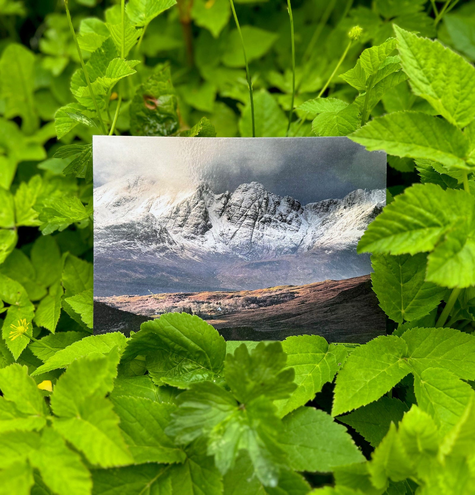 Mountain postcard