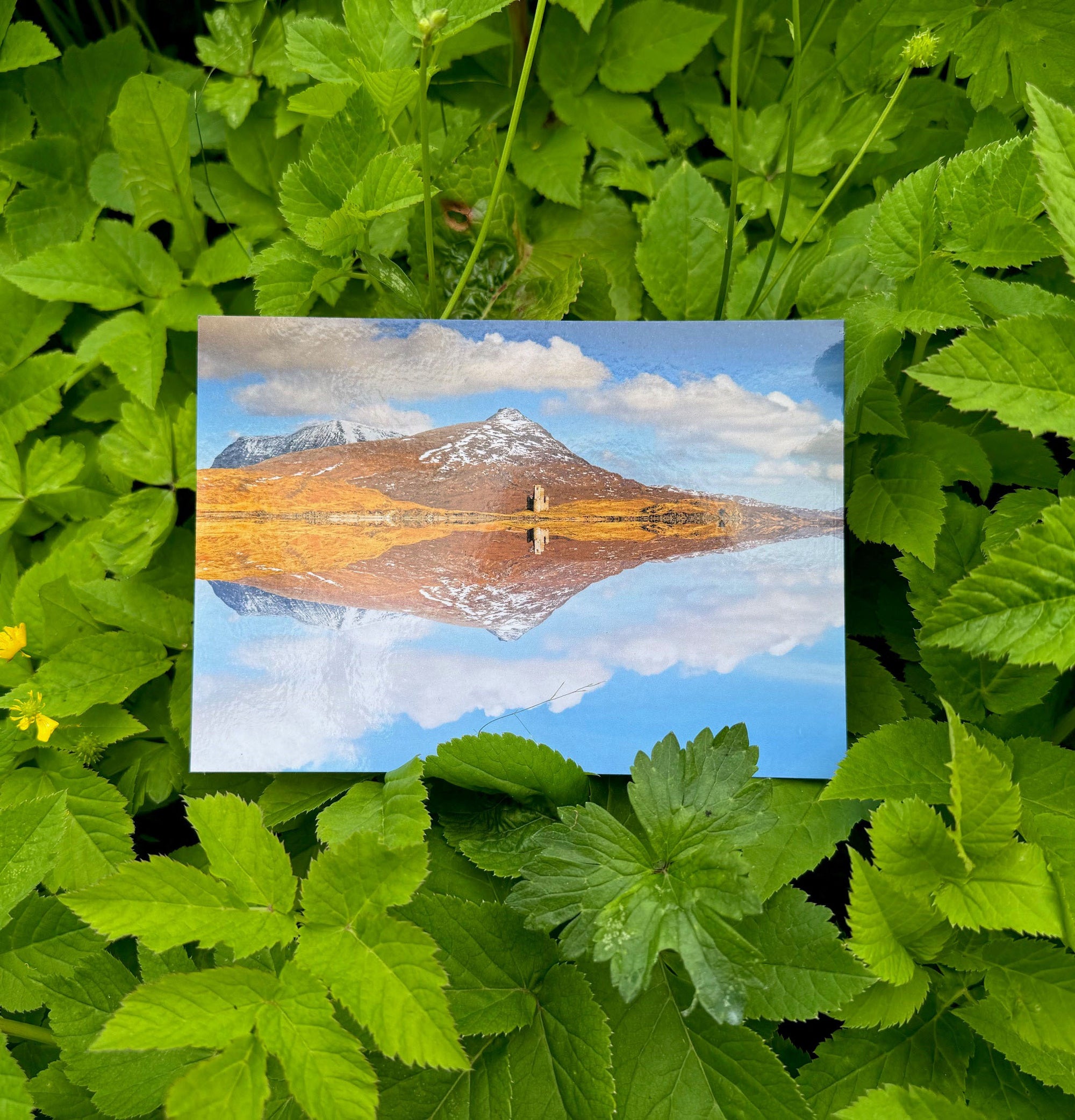 Mountain postcard