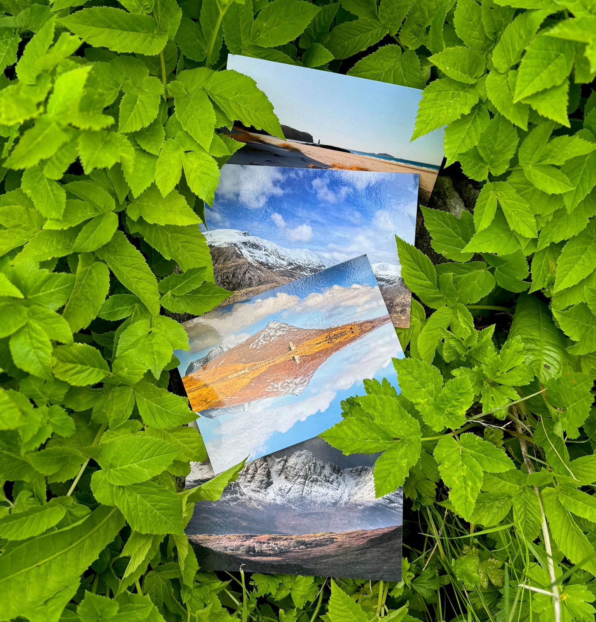 Mountain postcard bundle