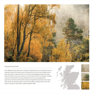 2027 Wild Nature Calendar