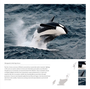 2027 Wild Nature Calendar