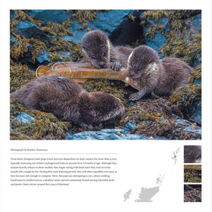 2027 Wild Nature Calendar