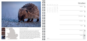 2027 Wild Nature Diary and Calendar: BUNDLE