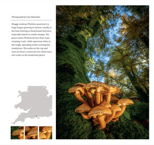 2027 Wild Nature Diary