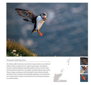 2027 Wild Nature Diary
