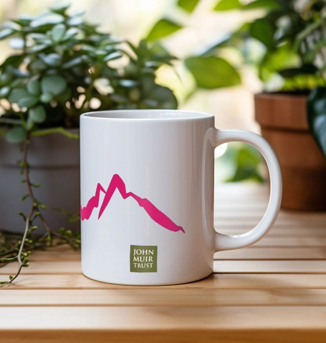 Love wild places mug (Mallow petal)