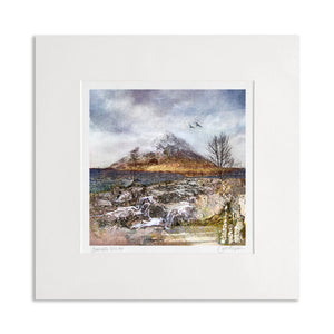 NEW 12x12 Mounted Prints (MEDIUM)