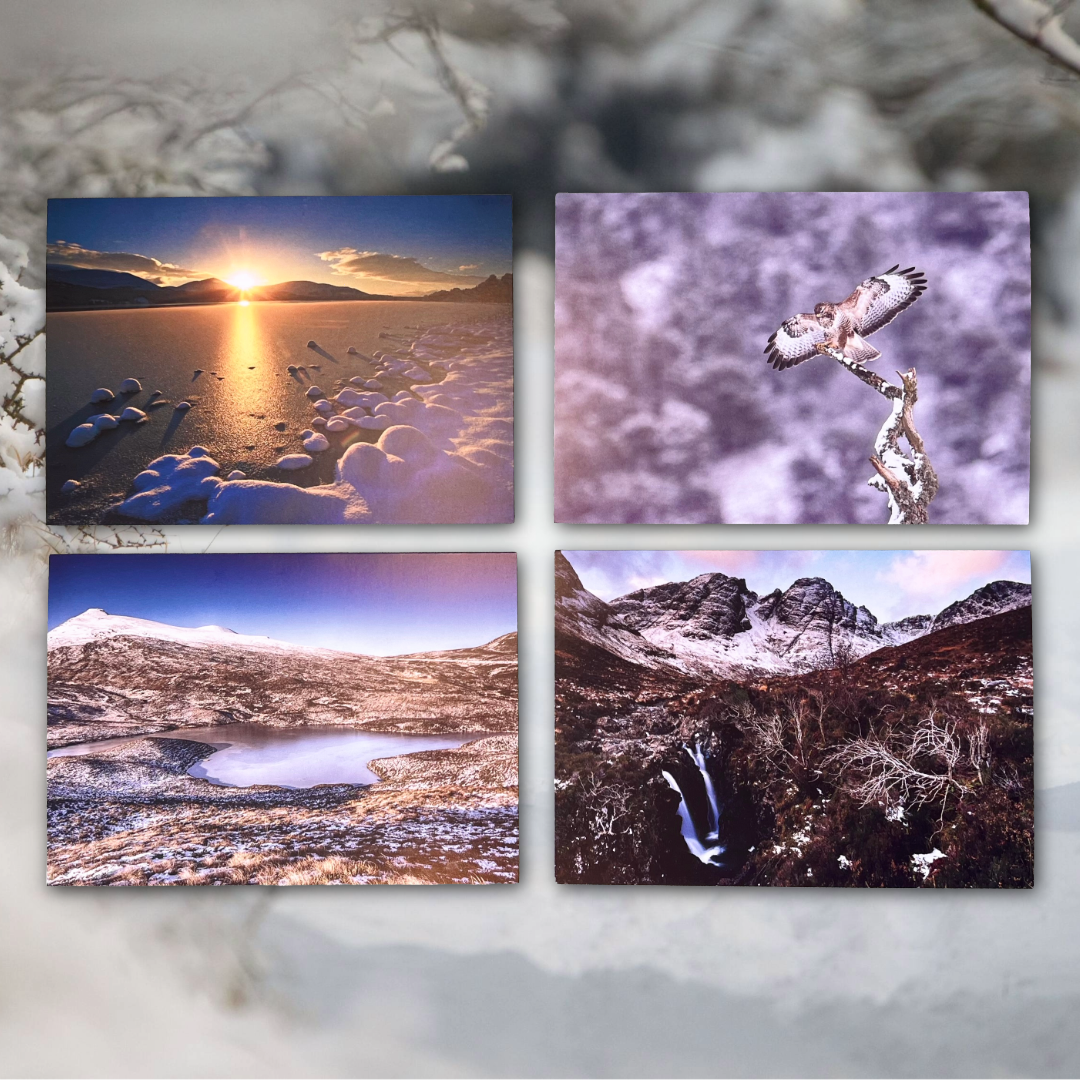 Christmas Cards 1 pack (12 cards)