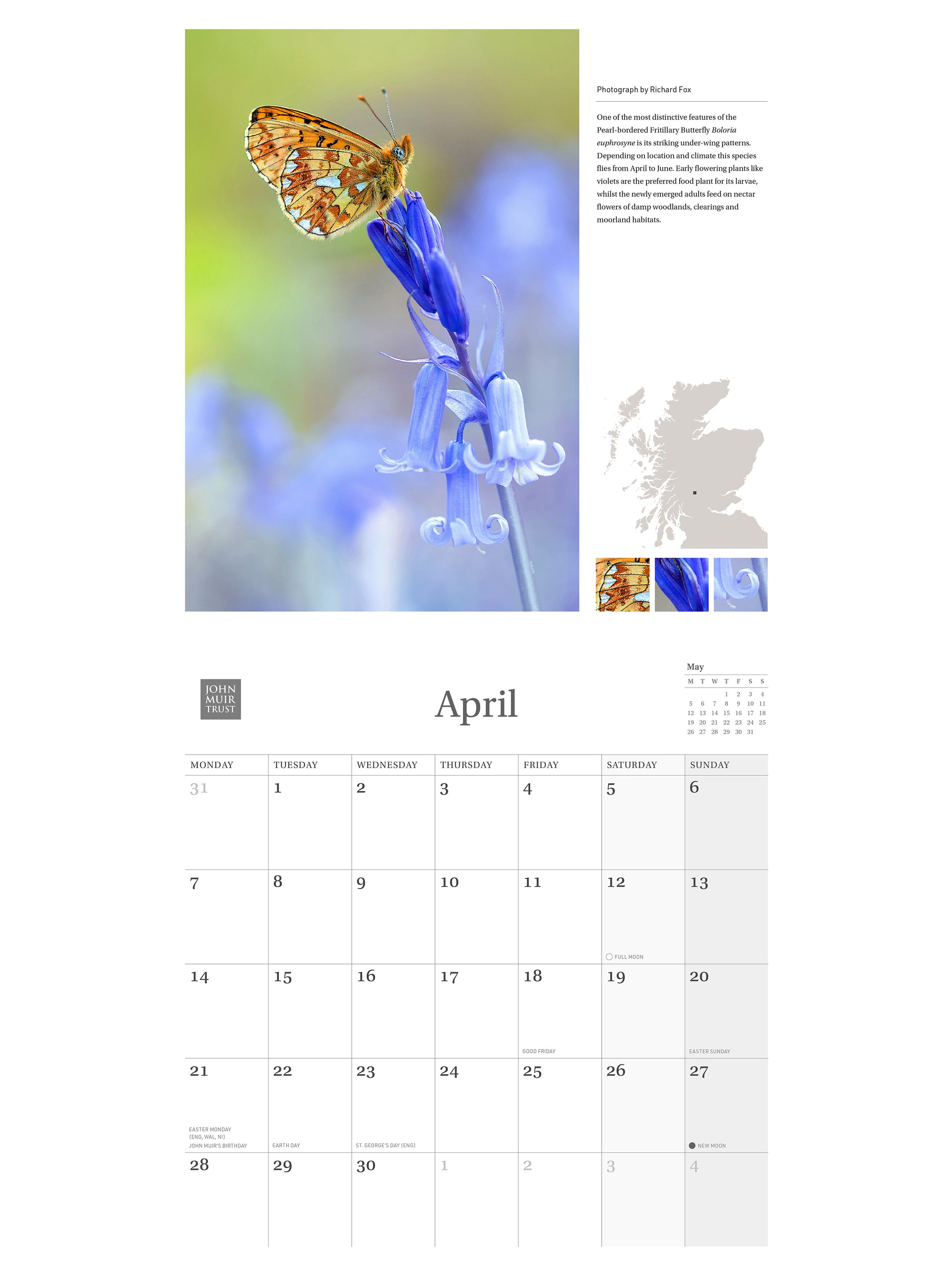 2025 Wild Nature Calendar