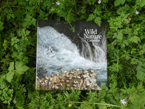 2025 Wild Nature Calendar