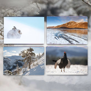 Christmas Cards 1 pack (12 cards) Set B
