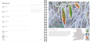 2026 Wild Nature Diary