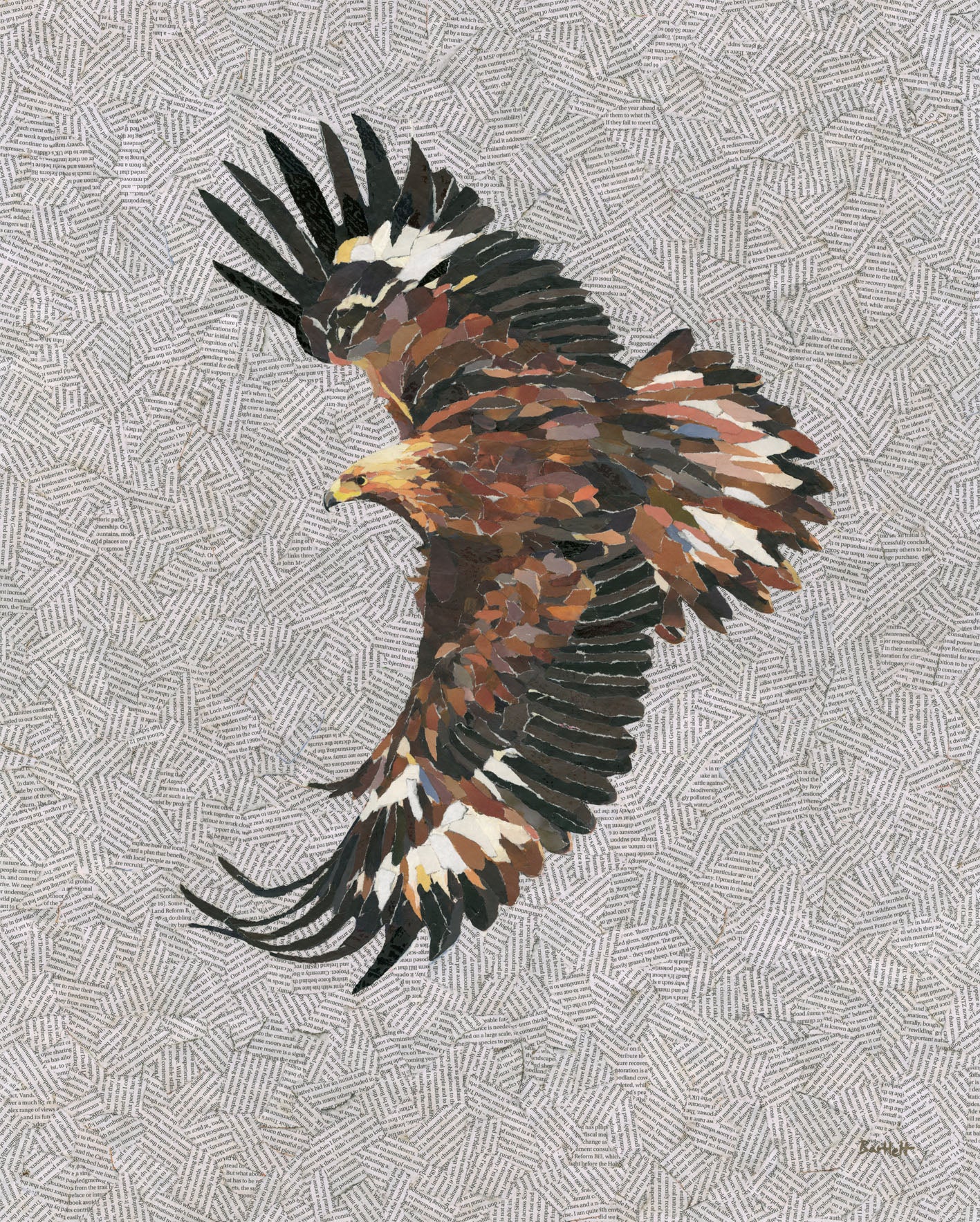 Limited edition Eagle print by Paul Bartlett