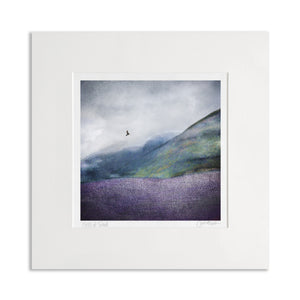12x12 Mounted Prints (MEDIUM)