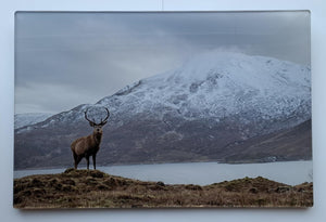 Clear Acrylic Photograph - 45x30cm