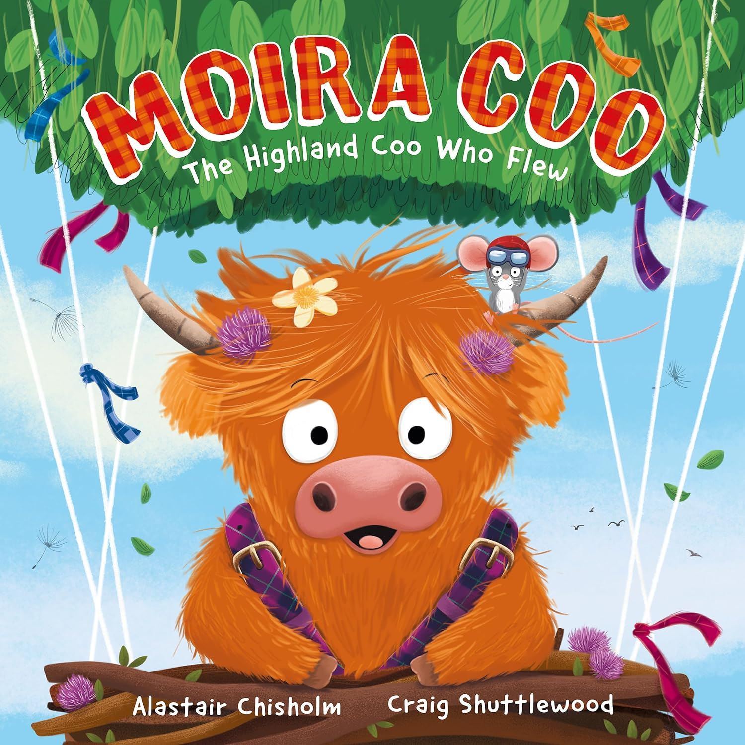 Moira Coo - The Highland Coo Who Flew