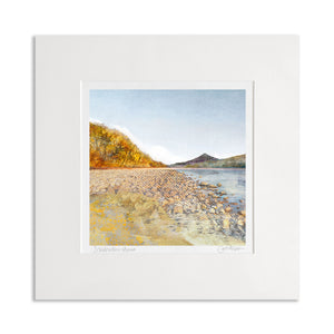 12x12 Mounted Prints (MEDIUM)