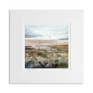 12x12 Mounted Prints (MEDIUM)