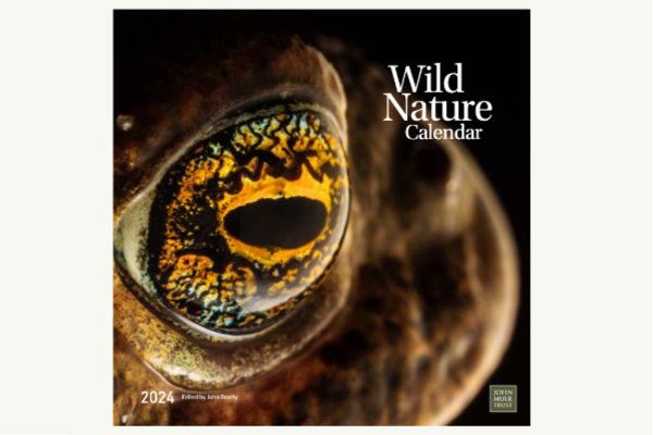 2024 Wild Nature Calendar