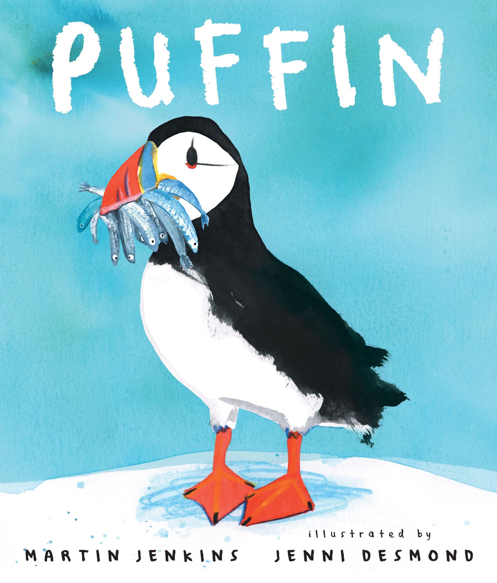 Puffin (PB)
