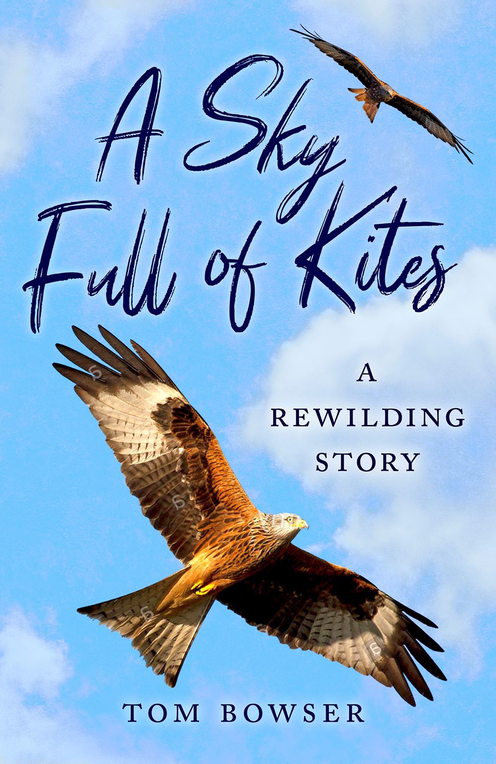 A SKY FULL OF KITES: A REWILDING STORY (PB)